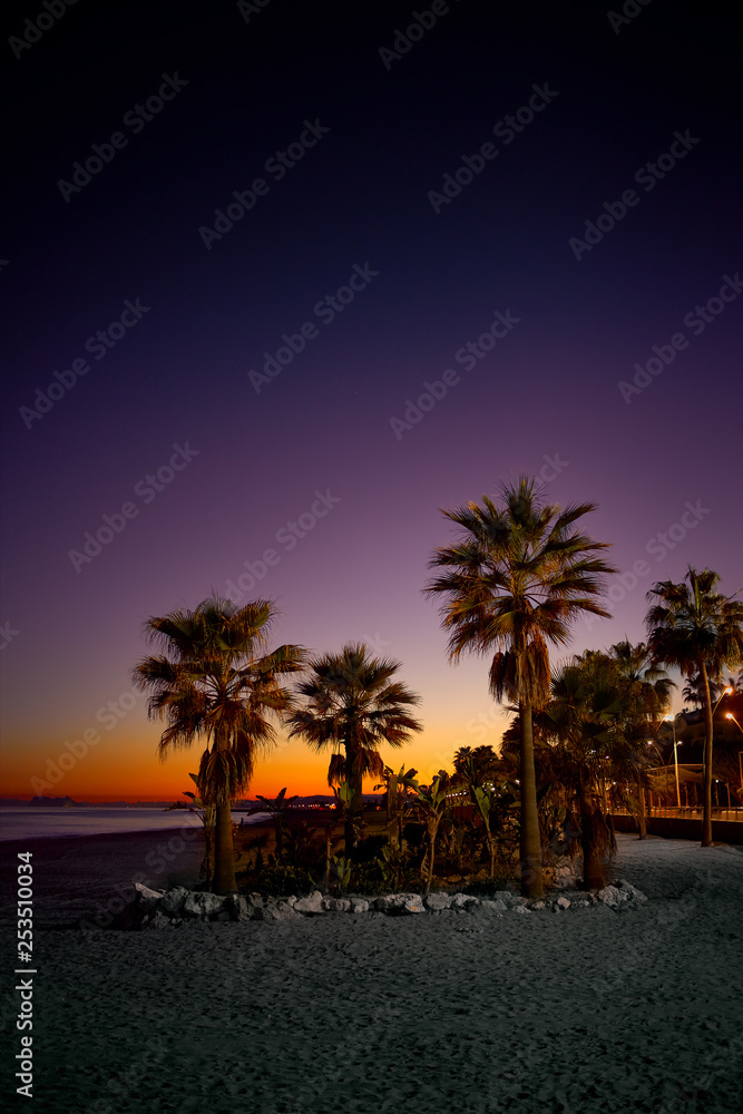 Beautiful purple and orange sunset with palm trees on the beach
