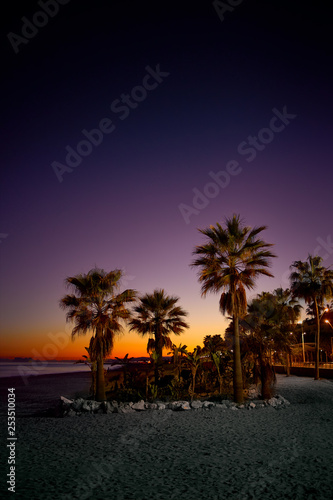 Beautiful purple and orange sunset with palm trees on the beach © peterpanayotov