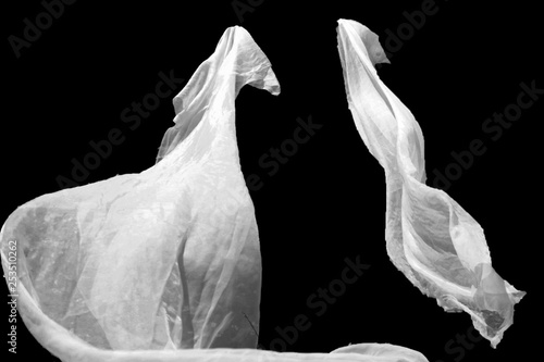 Fototapeta wedding white Bridal veil isolated on the black background