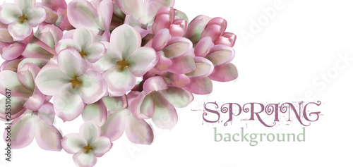 Lilac flowers spring background Vector watercolor. Romantic floral wedding or...