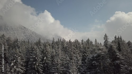 Wallpaper Mural Aerial drone video flying on the top of the forest recently covered by fresh snow in Valle D’Aosta region at cold winter season. Torontodigital.ca
