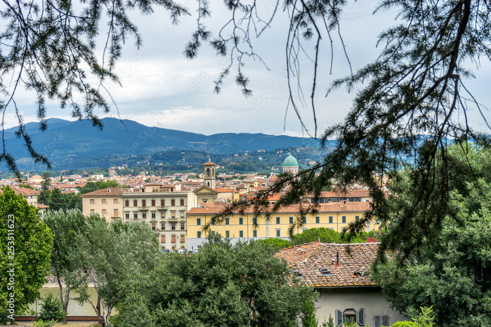 Italy,Florence, a tree in front of a building Italy,Florence, a tree in front of a building