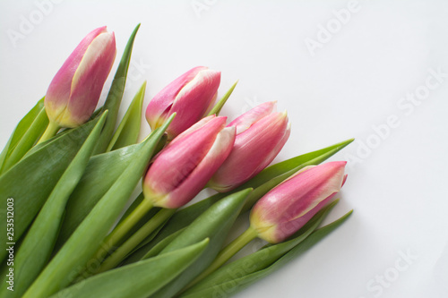 Beautiful bouquet of pink tulips on a white background