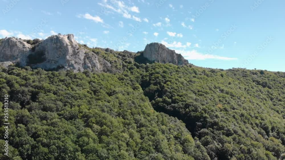 Drone panning shot in front of forest and high cliffs Drone panning shot in front of forest and high cliffs