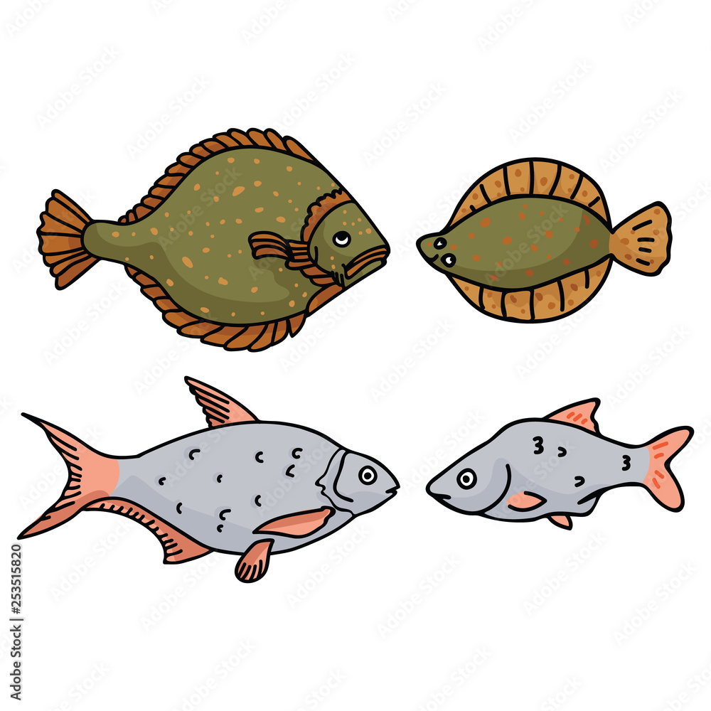 Cartoon and realistic flounder and roach vector illustration motif set