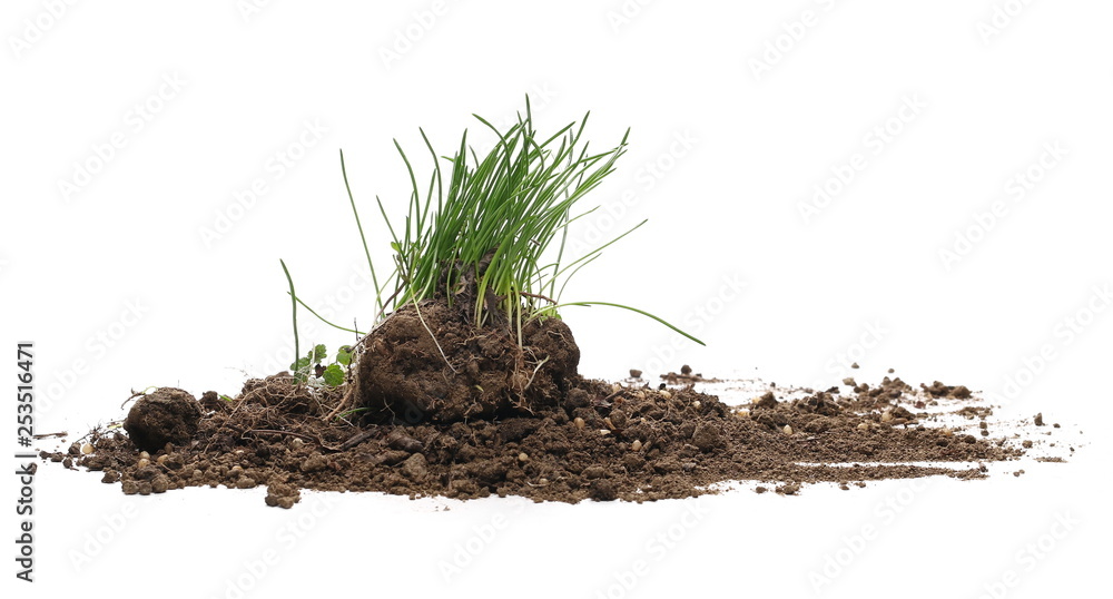 Fototapeta premium Green grass with dirt isolated on white background and texture