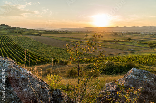 Golden sunset at the Hölzlstein near Eisenstadt, Austria