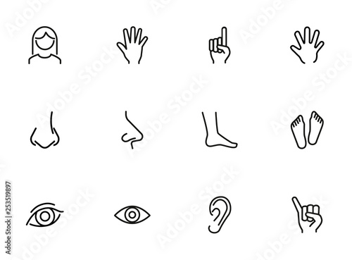 Body parts line icon set