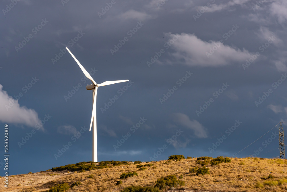 Field of wind generators Field of wind generators