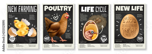 Chicken Realistic Posters Set 