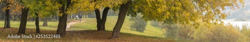 Yellow trees in autumn by the river