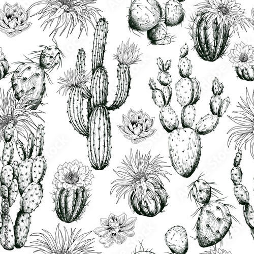 Seamless pattern with black and white cactus plants and flowers. Hand drawn vector.