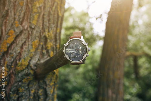 Big nice elegant men's watch hanging on the tree in forest. Stylish fashion accessories outdoors.