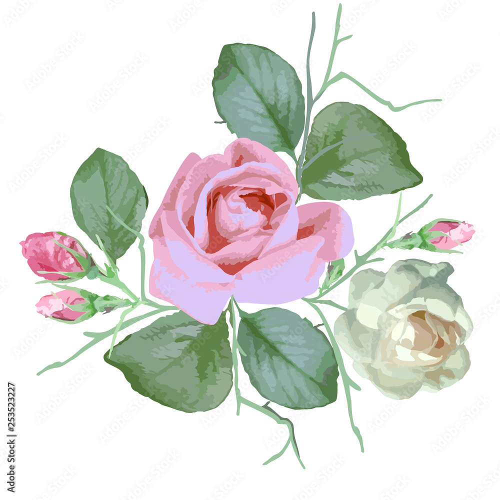 Naklejka premium Pink and white watercolor rosewith petals on white background. Vector clipart for design.