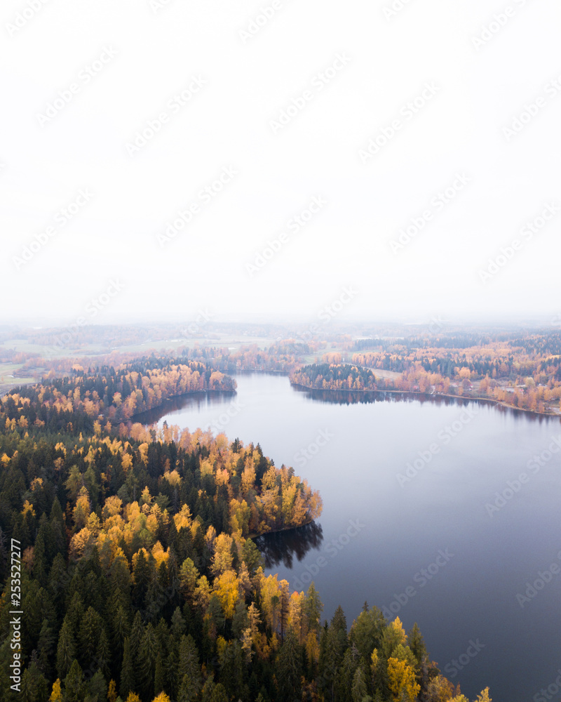 drone view of lake in autumn