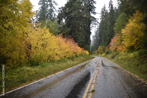 Washington, U.S.A. October 19, 2017. Olympic National Park Soleduck Valley river surrounded by autumn colors on a rainy day.