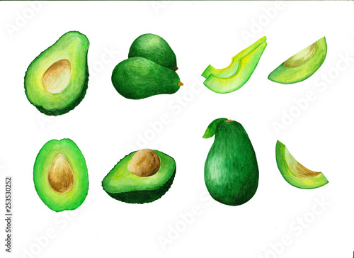 Hand drawn avocado set in watercolor