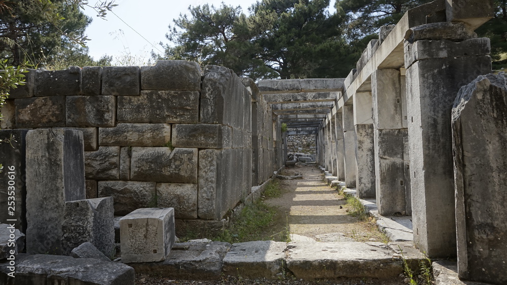 Fototapeta premium Priene ancient city 