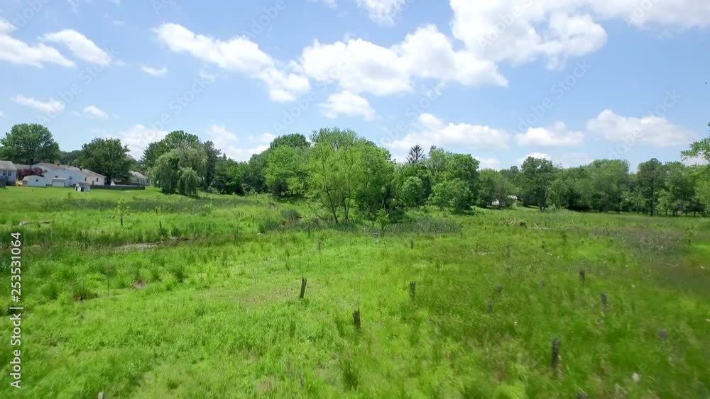 Blue skies and green grass in this low aerial wetland restoration with creek, trees, and greenery in a suburban neighborhood.mp4 Blue skies and green grass in this low aerial wetland restoration with creek, trees, and greenery in a suburban neighborhood.mp4