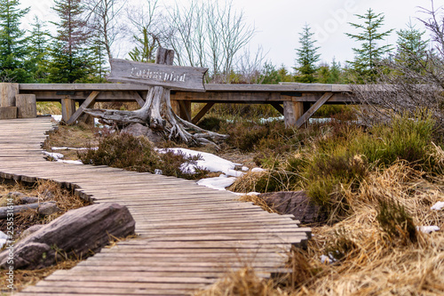Foto Lotharpfad im Schwarzwald