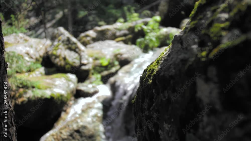 Wilderness small waterfall in green forest slider shot from left to right Wilderness small waterfall in green forest slider shot from left to right