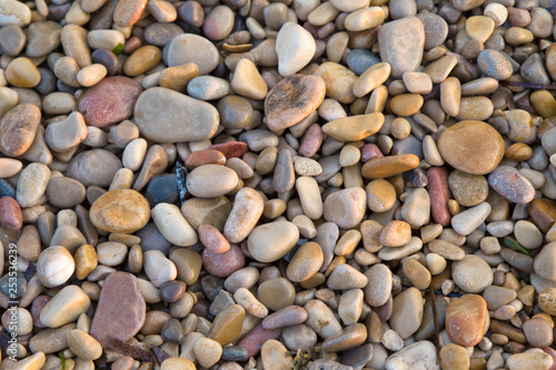 Piedras húmedas variadas en la playa