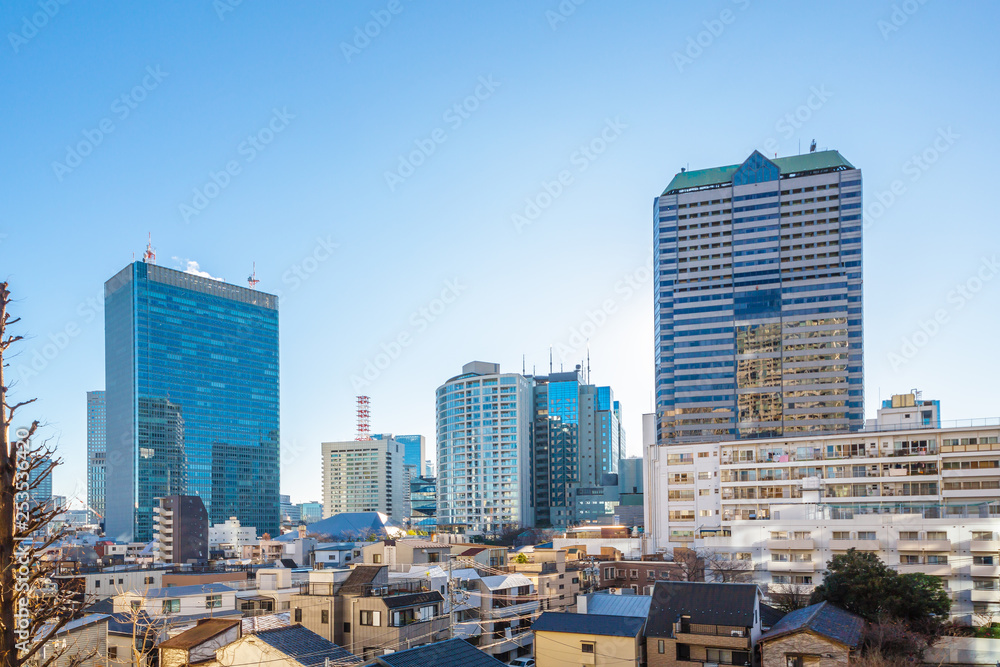 新旧の建物か混在する東京の街並み