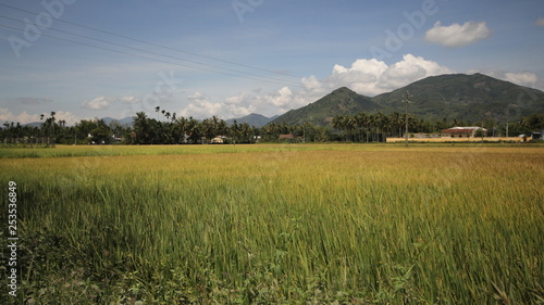 Nha Trang countyside in Vietnam