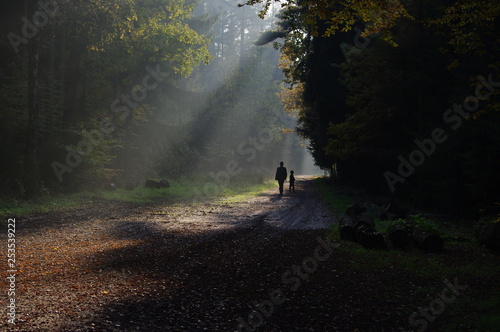 Ein Mann mit Hut geht mit seinem Kind im Wald spazieren 