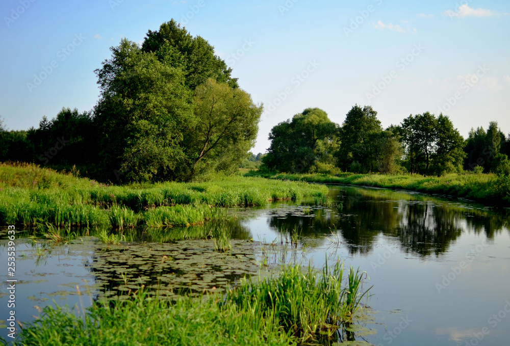 A small river inside the forest among the trees and bushes in the middle of summer. Camping, traveling in Belarusian nature