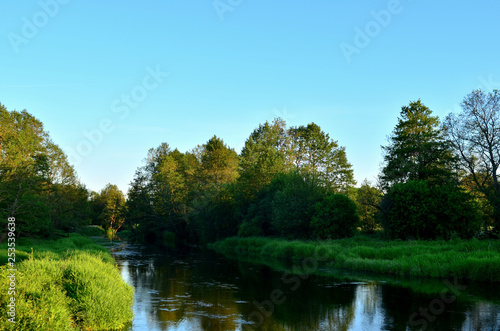 Small, narrow river on the background of fabulous wildlife among the forest area of trees, pines and deciduous trees. Traveling in the Republic of Belarus, Borb River