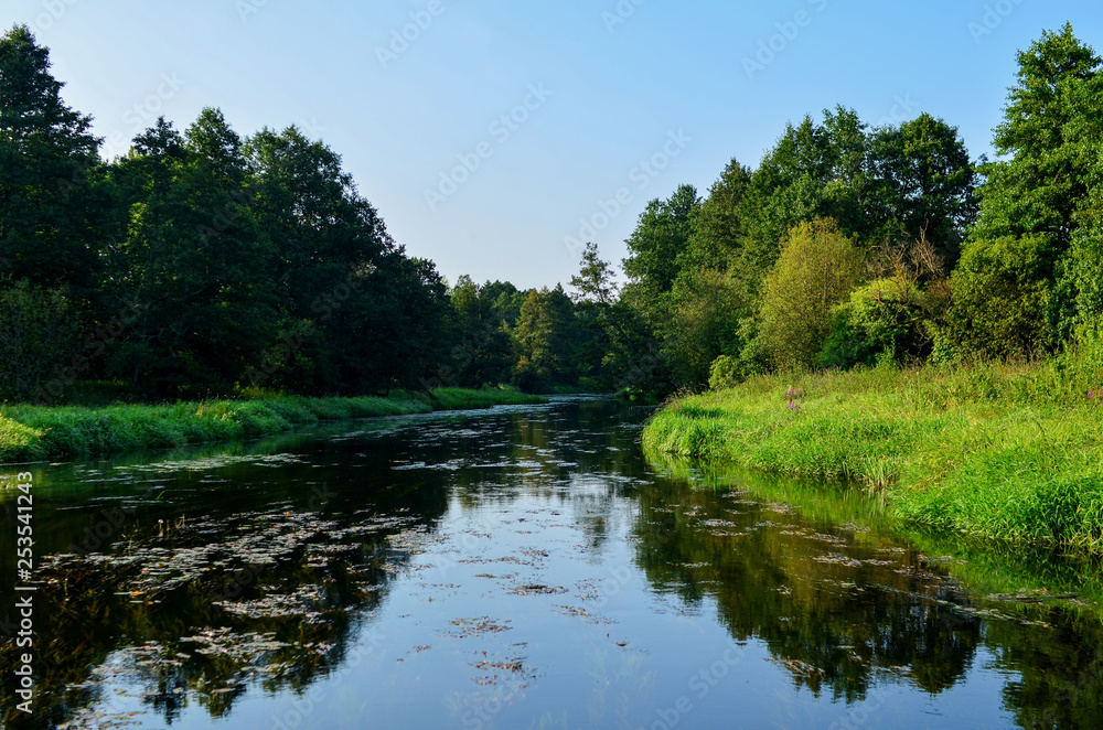 View of the river in the forest area on a summer day. Travel to Belarus, the river Bobr. Natural wallpaper, sunlight from the sun, beauty of the ecological system View of the river in the forest area on a summer day. Travel to Belarus, the river Bobr. Natural wallpaper, sunlight from the sun, beauty of the ecological system