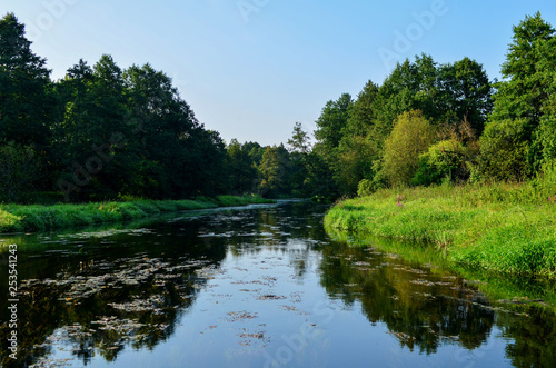 View of the river in the forest area on a summer day. Travel to Belarus  the river Bobr. Natural wallpaper  sunlight from the sun  beauty of the ecological system