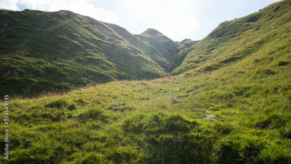 Fototapeta premium mountain meadow in summer sunshine