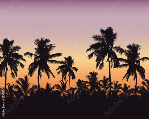 Realistic illustration of a palm forest. Purple orange sky with space for text, vector © Forgem