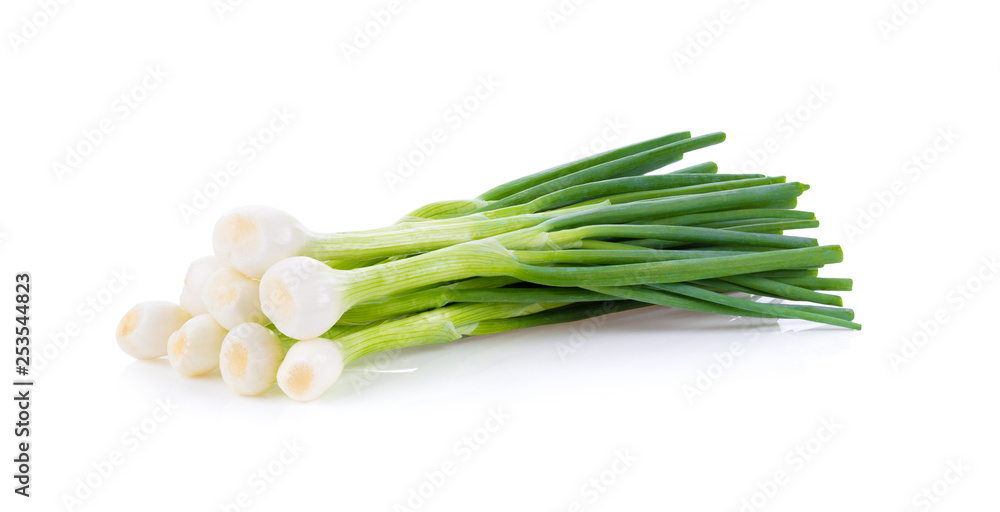 Green onion isolated on the white background . full depth of field Green onion isolated on the white background . full depth of field