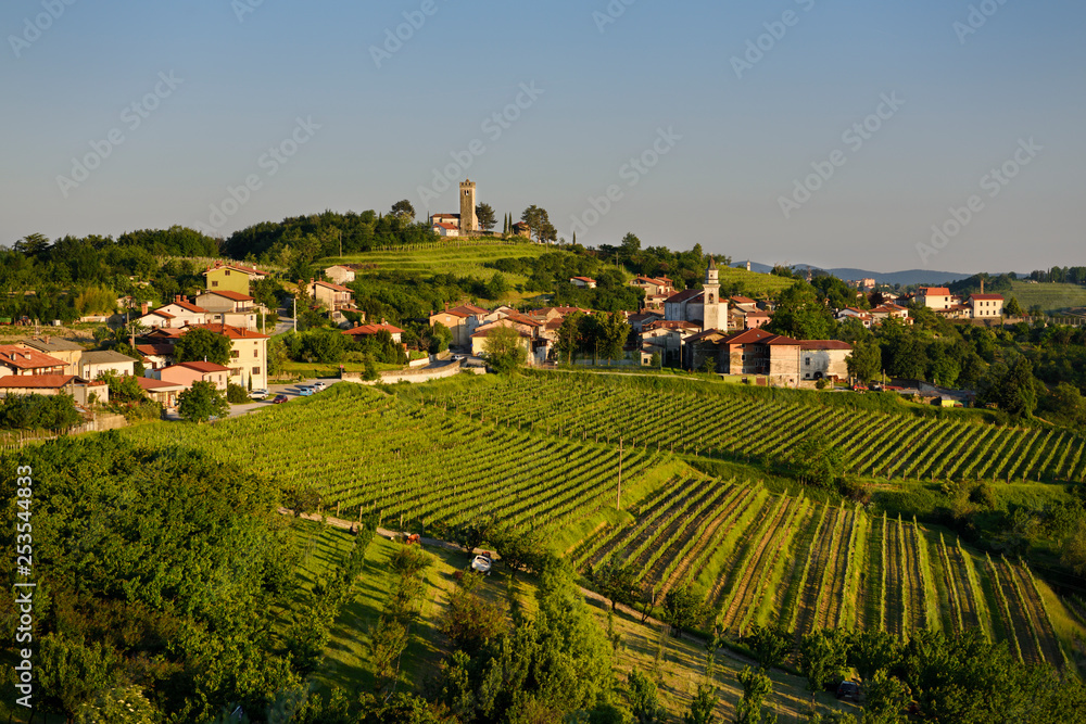 Sunset light on vineyards and Church of the Holy Cross and Church of the Assumption of Mary in the Gorizia Hills at Kojsko Brda Slovenia