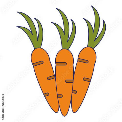 Vegetables carrots food symbol