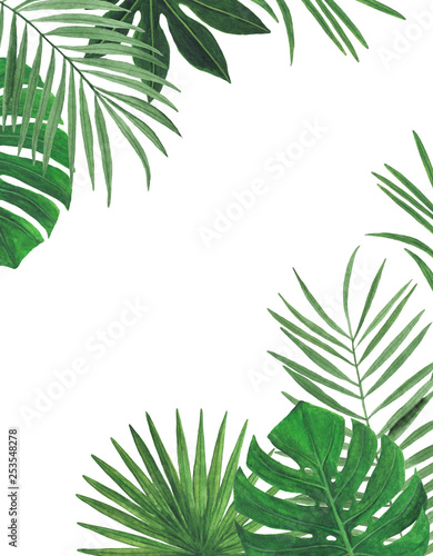 Tropics Watercolor illustrations Botanical decorations Decoration Postcard Invitation design decoration congratulation