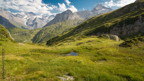 green meadow and alp panorama in background