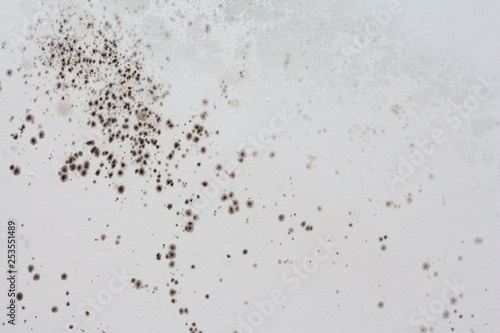 Black mold on a white wall in the house.