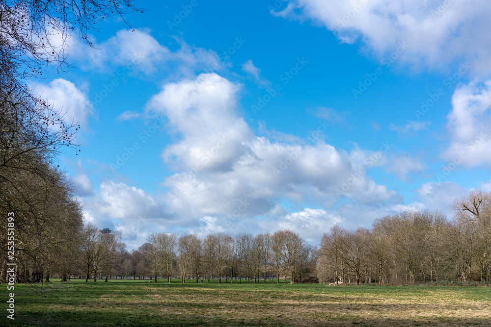 green field and blue sky