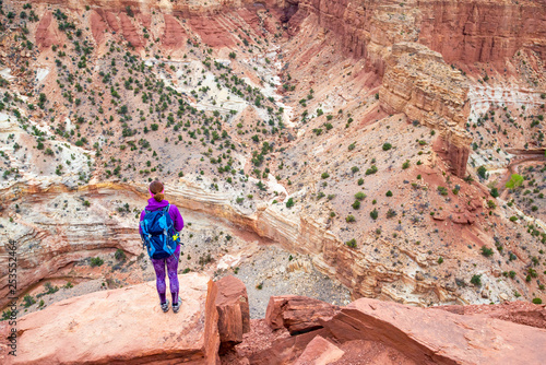 Young woman is looking at the Goosenecks in the Capitol Reef National park. Capitol Reef National Park's Panorama Point overlooks the a canyon of goose neck turn in Utah's Sulphur Creek..
