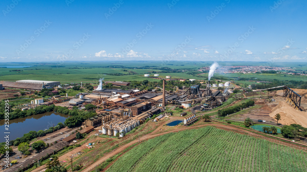 Sugarcane plant producing renewable energy. Ethanol.