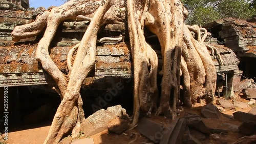 Ta Prohm Temple tree cover at Siem Reap, Cambodia., Lockdown.