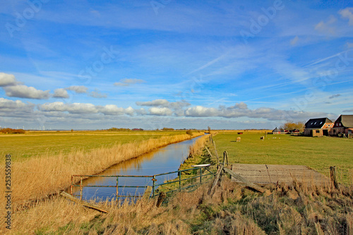 Marschlandschaft in Schleswig-Holstein (Hattstedtermarsch) photo