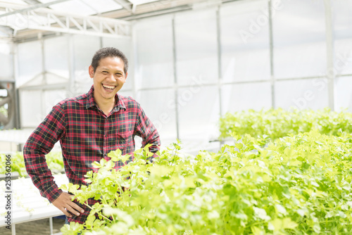 Asian farmer in hydroponics vegetables farm