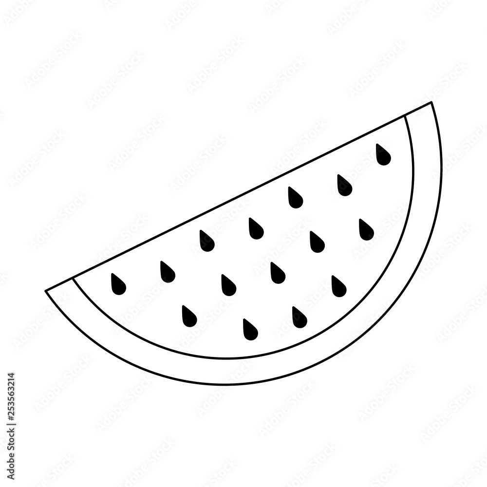 watermelon slices fruit in black and white watermelon slices fruit in black and white