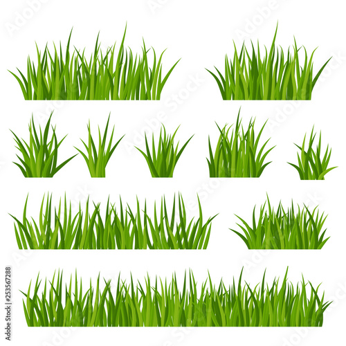 Bunches of green grass on meadow or lawn.