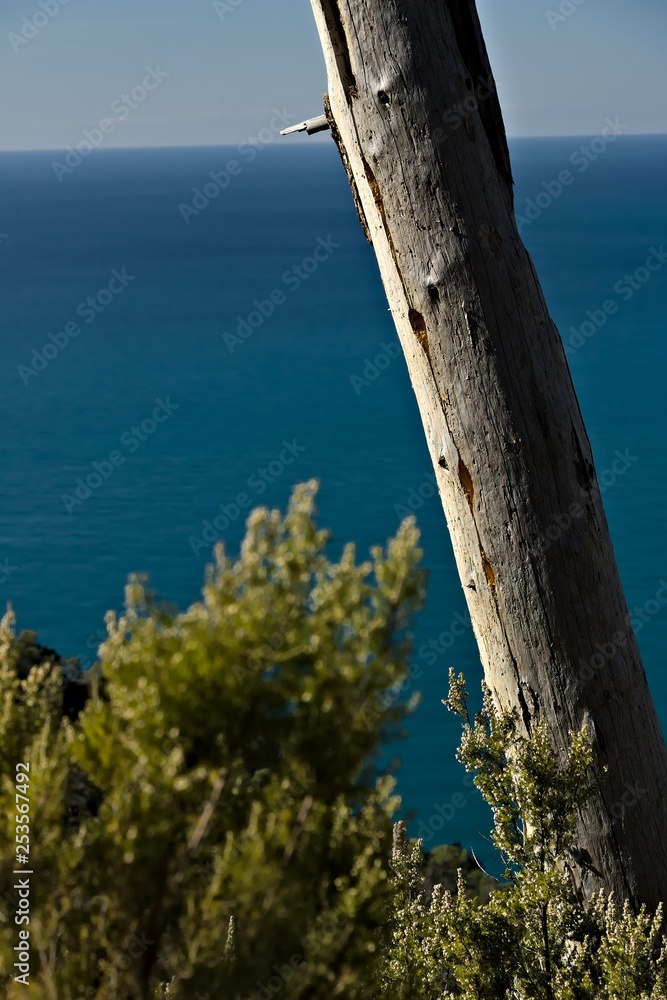 Still life in the sea of the Cinque Terre. A dead tree trunk against the backdrop of the Ligurian Sea at the Cinque Terre.
